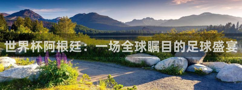 世界杯 赛程：世界杯阿根廷：一场全球瞩目的足球盛宴