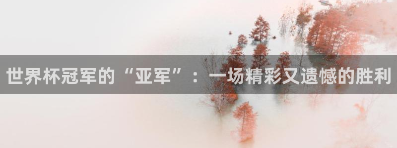 2026世界杯倒计时：世界杯冠军的“亚军”：一场精彩又遗憾的胜利