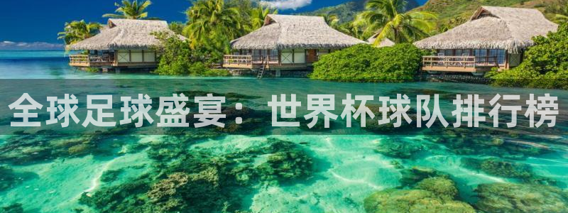 欧联杯直播：全球足球盛宴：世界杯球队排行榜