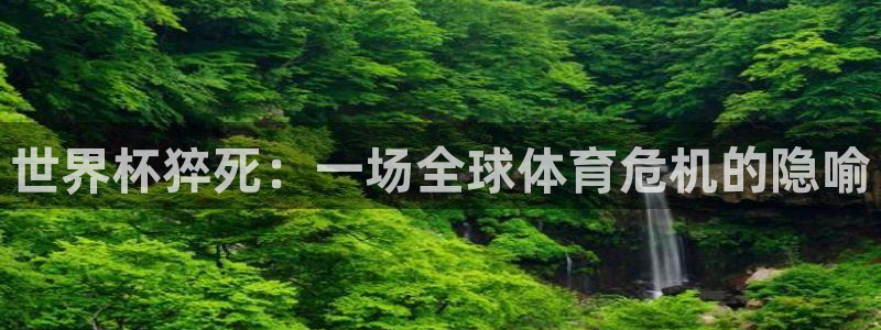 世界杯预选赛赛程时间表：世界杯猝死：一场全球体育危机的隐喻