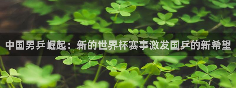 世界杯赛程表2026：中国男乒崛起：新的世界杯赛事激发国乒的新希望
