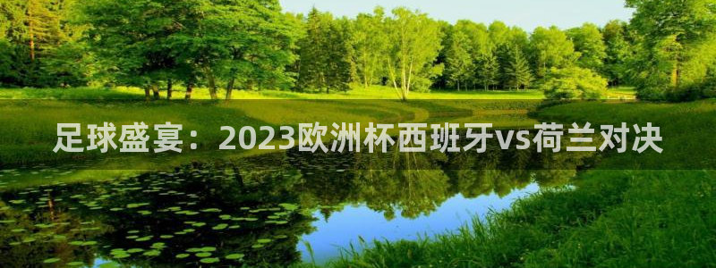 2006年世界杯冠军：足球盛宴：2023欧洲杯西班牙vs荷兰对决