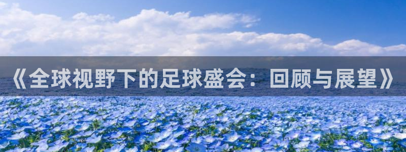 世界杯预选赛欧洲区赛程：《全球视野下的足球盛会：回顾与展望》