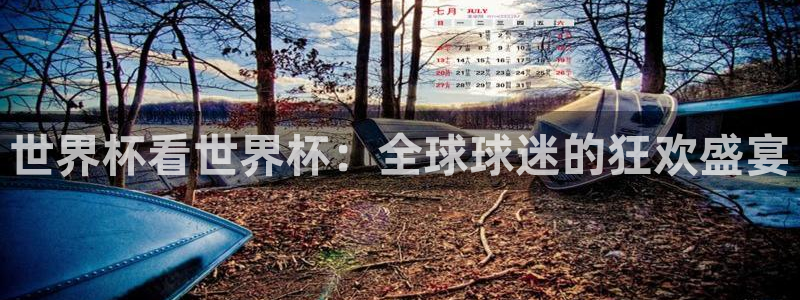 足球世界杯时间：世界杯看世界杯：全球球迷的狂欢盛宴