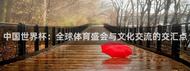 美国世界杯：中国世界杯：全球体育盛会与文化交流的交汇点